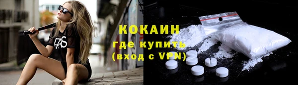 тгк Бронницы
