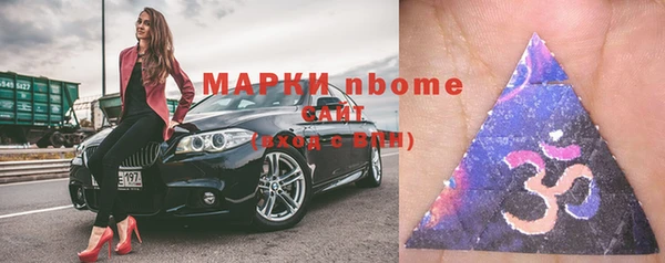 хмурый Верея